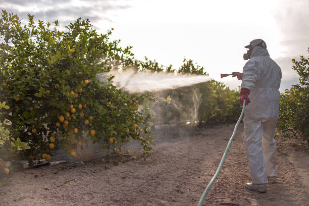 Best Pest Control Near Me  in Southside, AR
