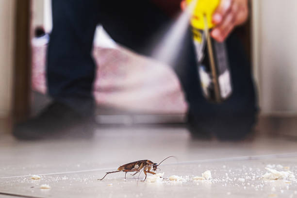 Trusted Southside, AR Pest Control Experts